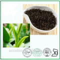 Fuente de la fábrica 100% extracto de té negro natural Extracto de hoja de té negro bolsa Theaflavins